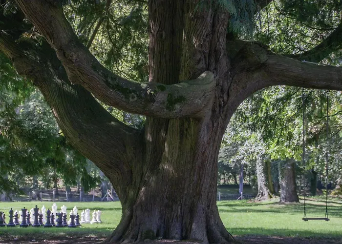 Le Corbusson Laval Ouest 3* Saint-Berthevin